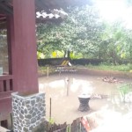 Canva 1600 x 1200 (1)