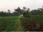 Canva 1600 x 747 (26)