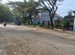 Canva 1600 x 900 (19)