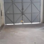 Canva 1600 x 900 (19)