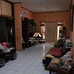 Canva 900 x 1600 (11)