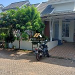 Canva 900 x 1600 (12)