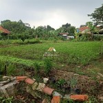 Canva 1600 x 1200 (12)