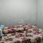 Canva 1600 x 900 (24)