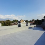 Canva 900 x 1600 (10)