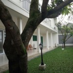 robby golf hijau 94