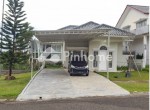 robby golf hijau 96