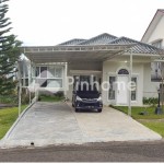 robby golf hijau 96