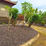 Canva 1200 x 1600 (14)