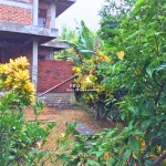 Canva 1200 x 1600 (15)