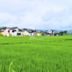 Canva 1200 x 1600 (41)