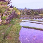 Canva 1200 x 1600 (9)