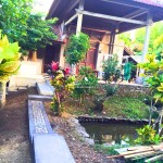 Canva 1600 x 1200 (3)