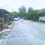 Canva 1600 x 1200 (3)