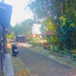 Canva 1200 x 1600 (1)