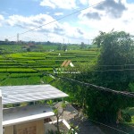 Canva 1200 x 1600 (13)