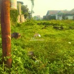 Canva 1200 x 1600 (41)