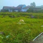 Canva 1200 x 1600 (44)