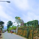Canva 1200 x 1600 (6)