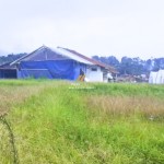 Canva 1600 x 1200 (1)