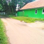 Canva 1600 x 1200 (10)