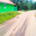 Canva 1600 x 1200 (12)