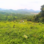 Canva 1600 x 1200 (14)