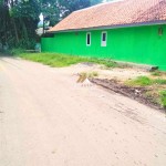 Canva 1600 x 1200 (15)