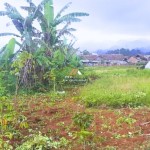 Canva 1600 x 1200 (2)
