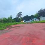 Canva 1600 x 1200 (2)