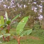 Canva 1600 x 1200 (21)