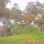 Canva 1600 x 1200 (22)