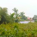 Canva 1600 x 1200 (24)