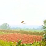 Canva 1600 x 1200 (25)