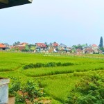 Canva 1600 x 1200 (25)
