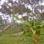 Canva 1600 x 1200 (26)