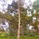 Canva 1600 x 1200 (27)