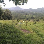 Canva 1600 x 1200 (7)