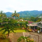 Canva 1200 x 1600 (10)