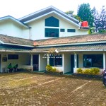 Canva 1200 x 1600 (14)