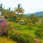 Canva 1200 x 1600 (21)