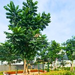 Canva 1200 x 1600 (3)