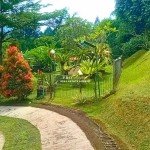 Canva 1200 x 1600 (8)