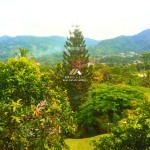 Canva 1600 x 1200 (1)