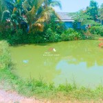 Canva 1600 x 1200 (2)