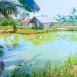 Canva 1600 x 1200 (3)