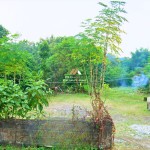 Canva 1600 x 1200 (10)