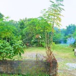 Canva 1600 x 1200 (12)