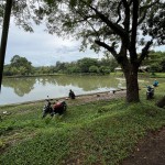 06158b19-fce8-4c60-96b6-fd8f4f392085