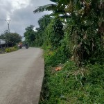 09ccc4d5-1727-4cbc-bd0d-532c602adf8c